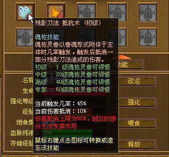 魂佑技能