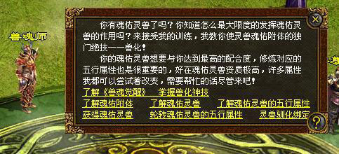 点化魂佑灵兽